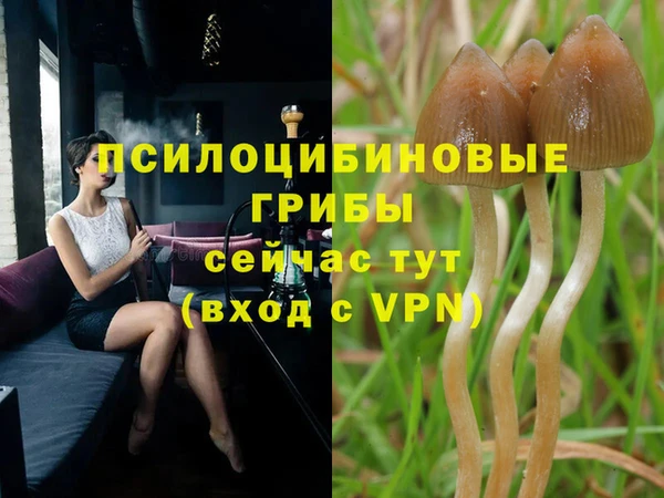 ПСИЛОЦИБИНОВЫЕ ГРИБЫ Абинск